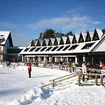 Arena 4*